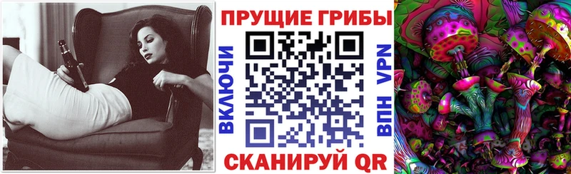 omg ССЫЛКА  Юрьевец  Псилоцибиновые грибы Psilocybine cubensis  как найти закладки 
